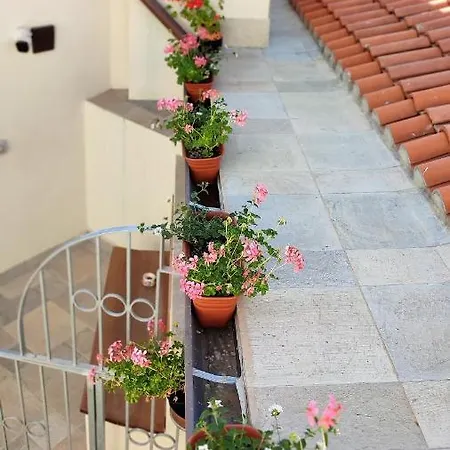 Almasarda オルビア