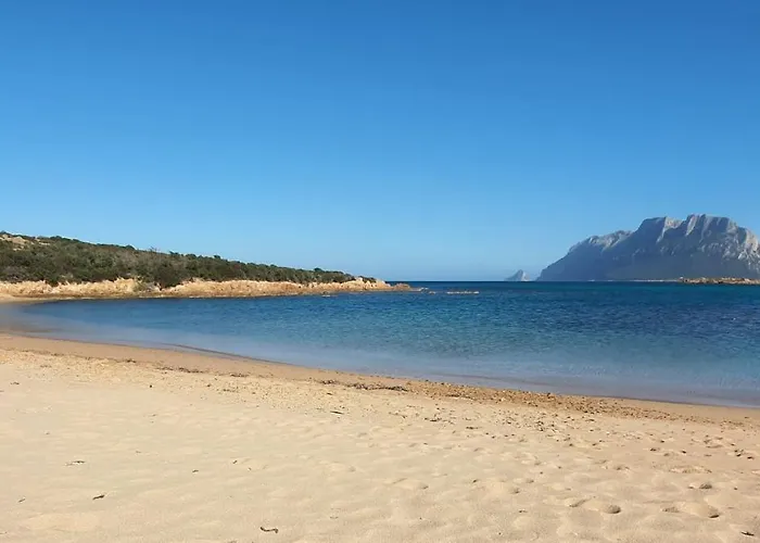 Almasarda 게스트하우스